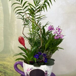 Jardín en Taza Encantada